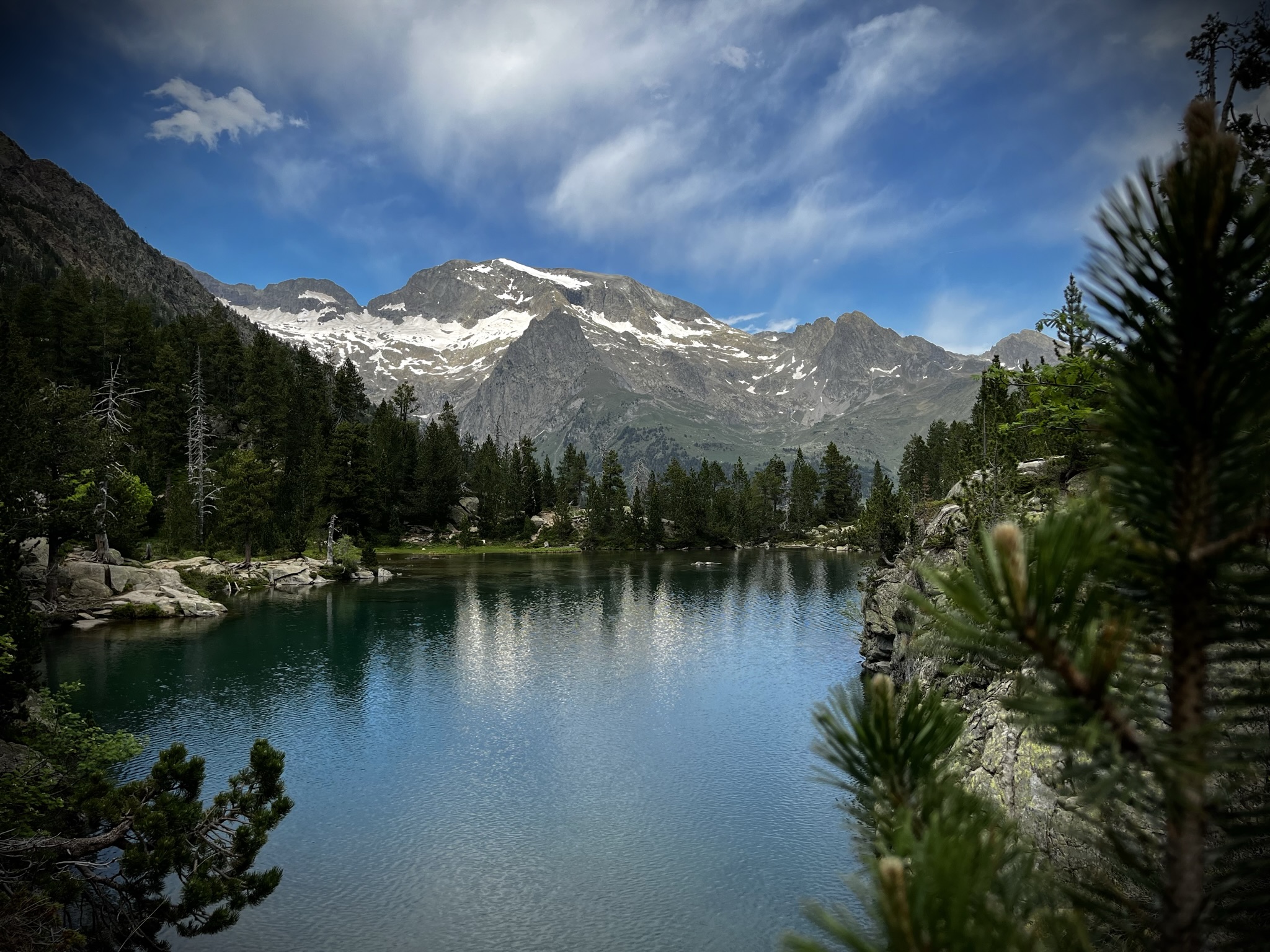 gallery-3 IMG 1597